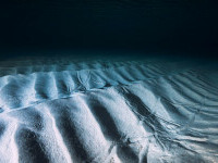 Descoperirea uluitoare făcută de oamenii de știință care s-au scufundat la adâncimi mai mari decât înălţimea muntelui Everest