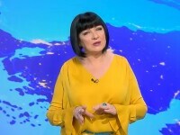 neti sandu