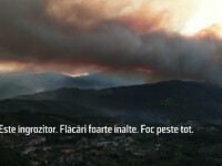 Mii de pompierii luptă zi și noapte cu incendiile de vegetație atât în Portugalia cât și în Spania. Pagubele sunt însemnate