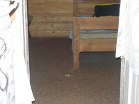 Ce e mic, dragut, dar nu ai vrea sa-l ai in camera de hotel?