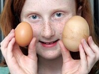 O britanica si pasarica ei minune