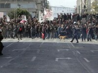 Catelul anarhist din Atena. Nu a ratat nici protestele din aceasta saptamana din Grecia