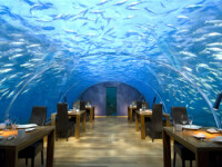 restaurant maldive