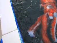 calamar urias