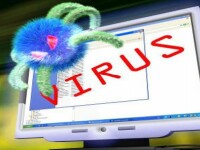 virus