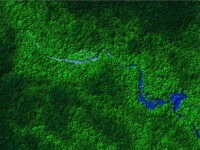 harta jungla Honduras