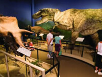 dinozauri la muzeu