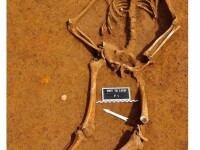 Imagini rare. Trupul unui soldat cazut acum 200 de ani la Waterloo, dezgropat