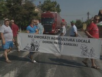 protest agricultori