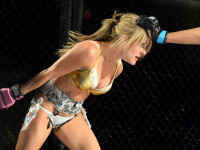 Lingerie Fighting Championship