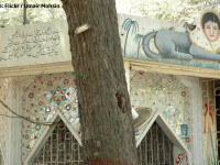Om deghizat in vulpe, inchis in cusca la gradina zoologica din Karachi. 