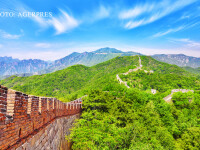 Marele Zid Chinezesc FOTO: SHUTTERSTOCK
