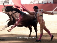 O greseala s-a dovedit fatala pentru un matador spaniol