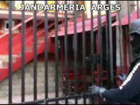 Politistii au facut perchezitii in Romania si in strainatate la retele de proxeneti si au sechestrat bunuri de un milion euro