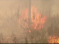 Incendiile de vegetatie, in sudul Spaniei. Peste 1.500 de persoane au primit ordin de evacuare