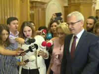 Liviu Dragnea, Viorica Dancila