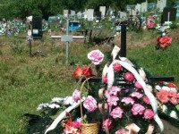 cimitir moldova