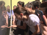 Rezultate Contestații Evaluare Națională 2018. Vești proaste pentru peste 7500 de elevi