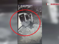 Plantă de 3.000 de euro, furată din parcarea unui mall din Oradea