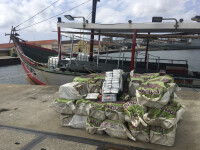 Captură de peste o tonă de cocaină în Portugalia. Cât costau drogurile