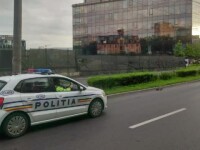 Filmare virală. Trei polițiști din Cluj au ajutat o rață cu 6 boboci să traverseze strada