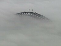 Sydney, acoperit de un strat foarte gros de ceață. Imagini spectaculoase