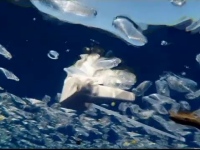 Semnal de alarmă: 40000 de sticle de plastic sunt aruncate în fiecare minut în Mediterană