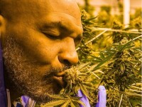 Cum arată plantația de marijuana din deșert a lui Mike Tyson. „M-am gândit cât bine pot face” - 2