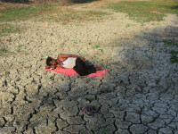 Temperaturi extreme în India. 49 de persoane au murit din cauza căldurii