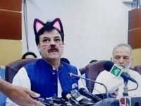 Politicieni cu mustăți și urechi de pisică, în timpul unei ședințe. Momentul, transmis live - 1