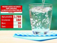 Riscăm „să mâncăm” 100 de pahare de plastic într-un an. Avertismentul cercetătorilor