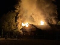 Cai de curse de zeci de mii de euro, la un pas să ardă de vii într-un incendiu. Cine i-a salvat