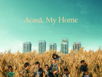 „Acasă”, povestea familiei care a trăit 20 de ani în Delta Văcăreşti, ar putea fi nominalizat la Oscar