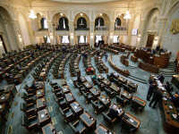 Senatul dezbate moţiunea simplă a PSD împotriva ministrului Muncii. ”Opriți-o pe Doamna în negru”