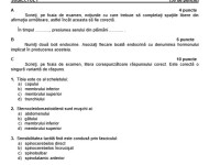 SUBIECTE Bacalaureat 2020 Biologie. Cum vor arăta subiectele de anul acesta