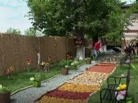 A fost inaugurată singura grădină senzorială dintr-o școală de stat din România. Poartă numele lui Adi Bărar