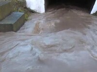 Dezastru în Dâmbovița, după o ploaie torențială. Mai multe gospodării au fost inundate
