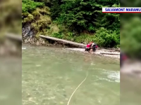 Câine izolat pe malul unui râu din Maramureș, salvat de salvamontiști. Va fi adoptat de femeia care l-a găsit