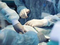 Premieră: Un rinichi de porc a fost transplantat unui om