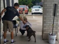 Momentul emoționant în care o femeie își regăsește câinele pierdut în urmă cu un an