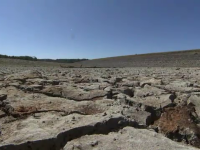 Statele Unite se confruntă cu cea mai gravă secetă din ultimii 50 de ani