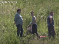 Un urs de 250 de kg a murit după ce a fost lovit de o mașină, în Cluj. VIDEO și GALERIE FOTO