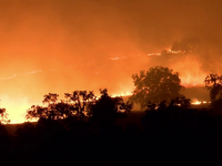 Incendiile de vegetație se extind în SUA. Trei state sunt afectate