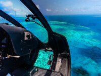 Marea Barieră de Corali, aproape să ajungă pe lista siturilor „în pericol ” a UNESCO. Australia se ocupă cu îndârjire