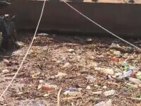 Imaginile dezastrului, după ploi: Dunărea arată ca un imens depozit de deșeuri
