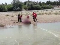 Descoperire șocantă pe malul râului Argeș: Un bărbat a fost găsit mort