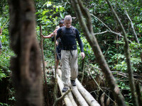 Al doilea suspect arestat în cazul jurnalistului și expertului indigen dispăruți în timp ce vizitau un trib din Brazilia