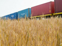Rutele stabilite prin România și Polonia pentru a exporta cerealele din Ucraina se confruntă cu blocaje