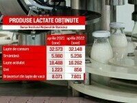 Avem tot mai puțin lapte de vacă produs în România. Ce spun cifrele