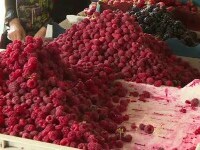 Românii cumpără zmeură din alte țări la prețuri exagerate. Explicația fermierilor români